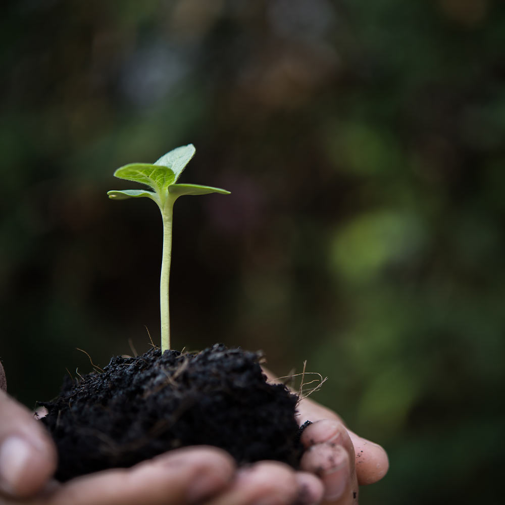 Topsoil suppliers in Chesterton 