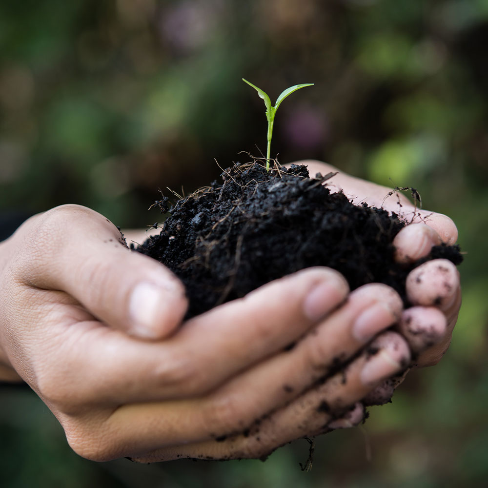Topsoil suppliers in Gloucestershire 